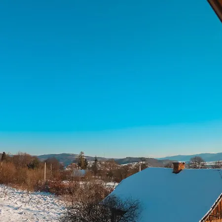 у романа 'двохрівневий номер' * Verkhneye Sinevidnoye